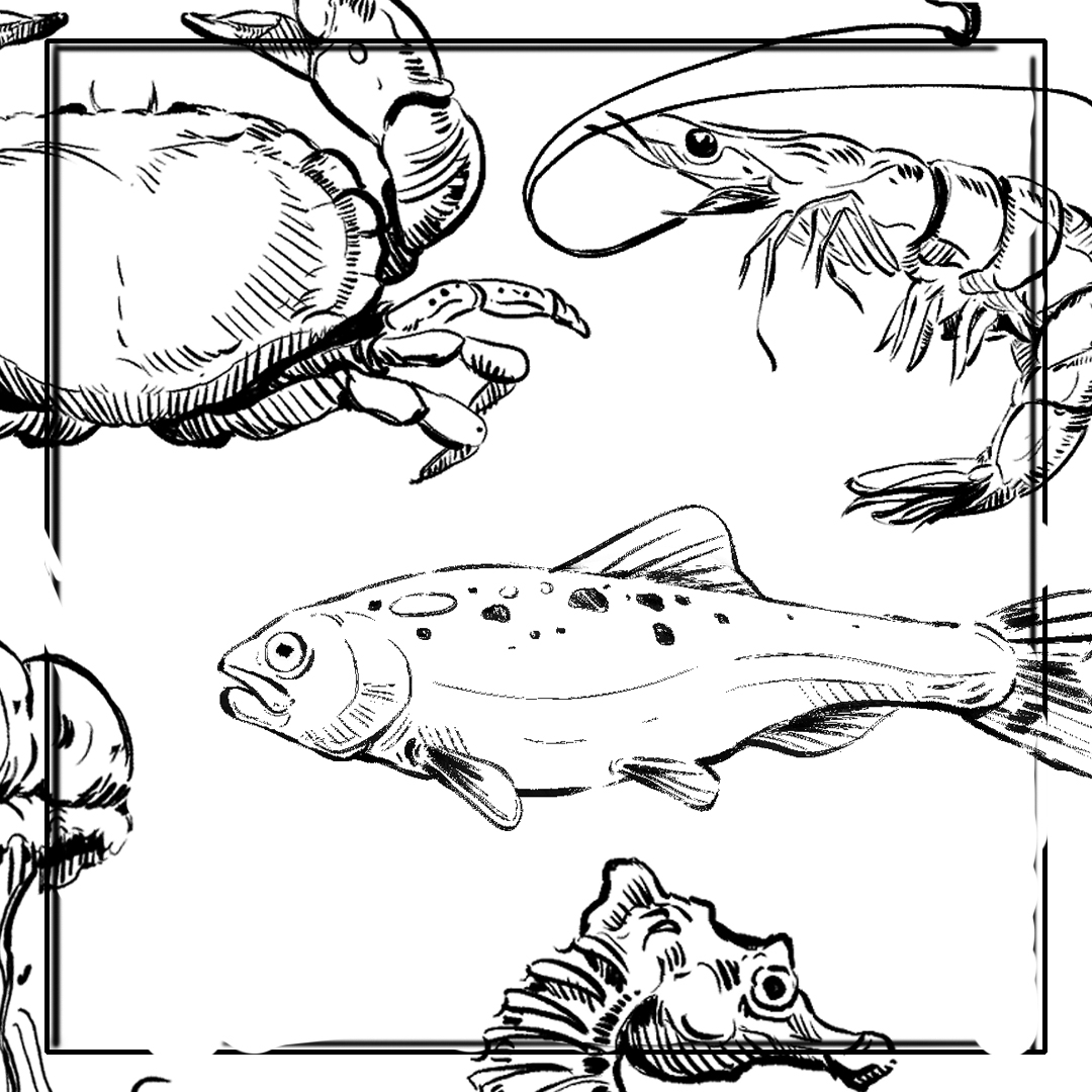 Disegno di Creature Acquatiche